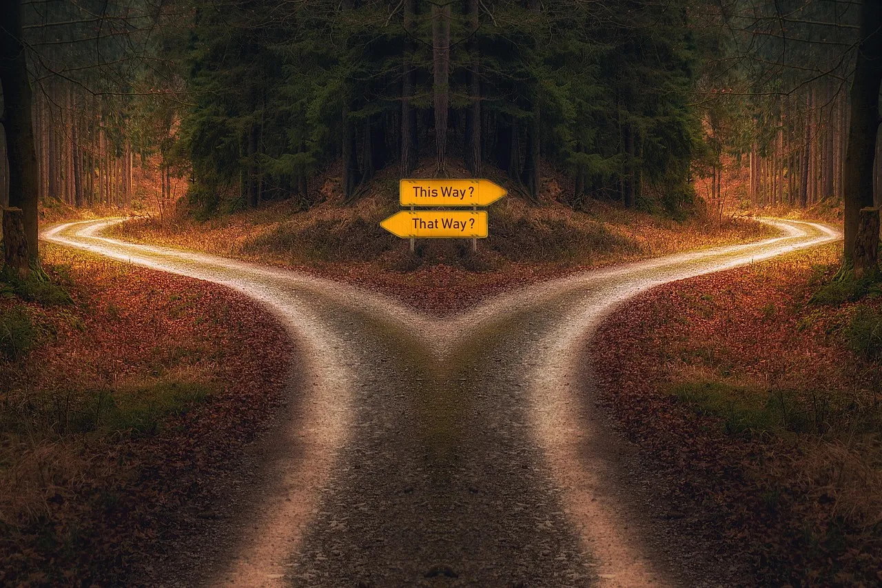 Forest road splitting in two with signs asking This way or That way