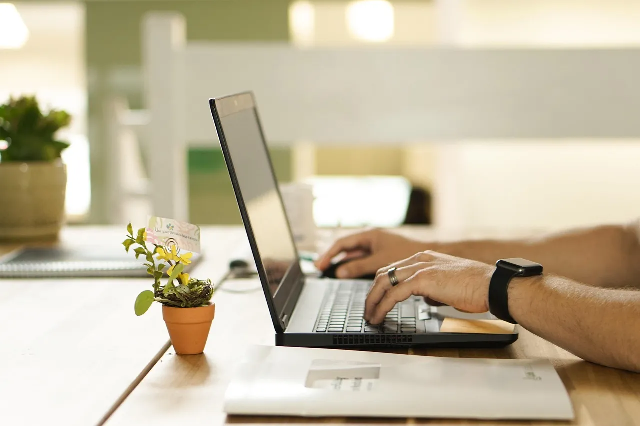 Hands typing on a laptop at a wooden desk beside a small potted plant